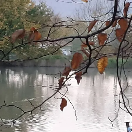 Farm stay Du Haras Du Suet Savas-Mepin