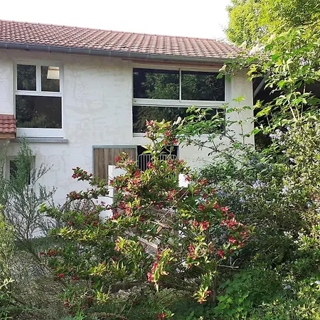 Du Haras Du Suet Farm stay Savas-Mepin