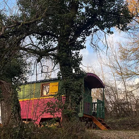 Du Haras Du Suet Savas-Mepin